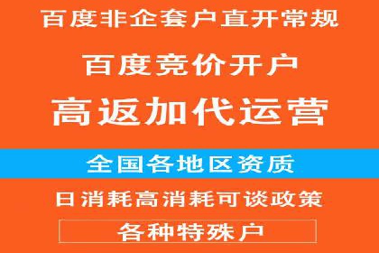 解析SEM推广代运营的五大成功要素